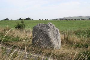 One of the West Kennet Avenue stones on the other side of the road